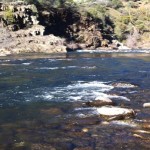 Gray Eagle Bar Pool - Middle Fork American River - Horsehoe Bar Preserve