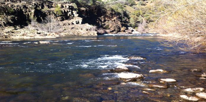 Grey Eagle Bar Pool - Middle Fork American River - Horsehoe Bar Preserve