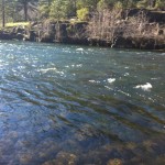 Gray Eagle Bar Pool - Middle Fork American River - Horsehoe Bar Preserve