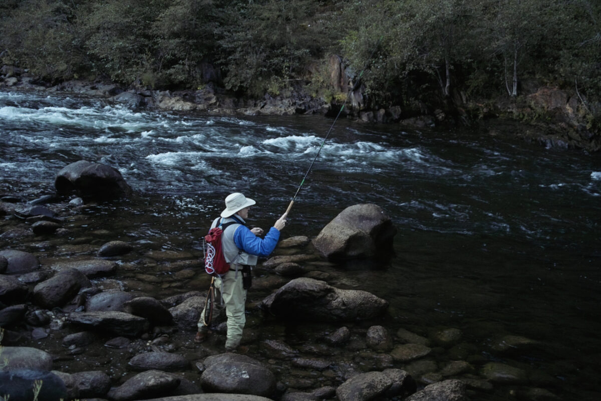 Photo Galleries of the Horseshoe Bar Preserve Horseshoe Bar Fish
