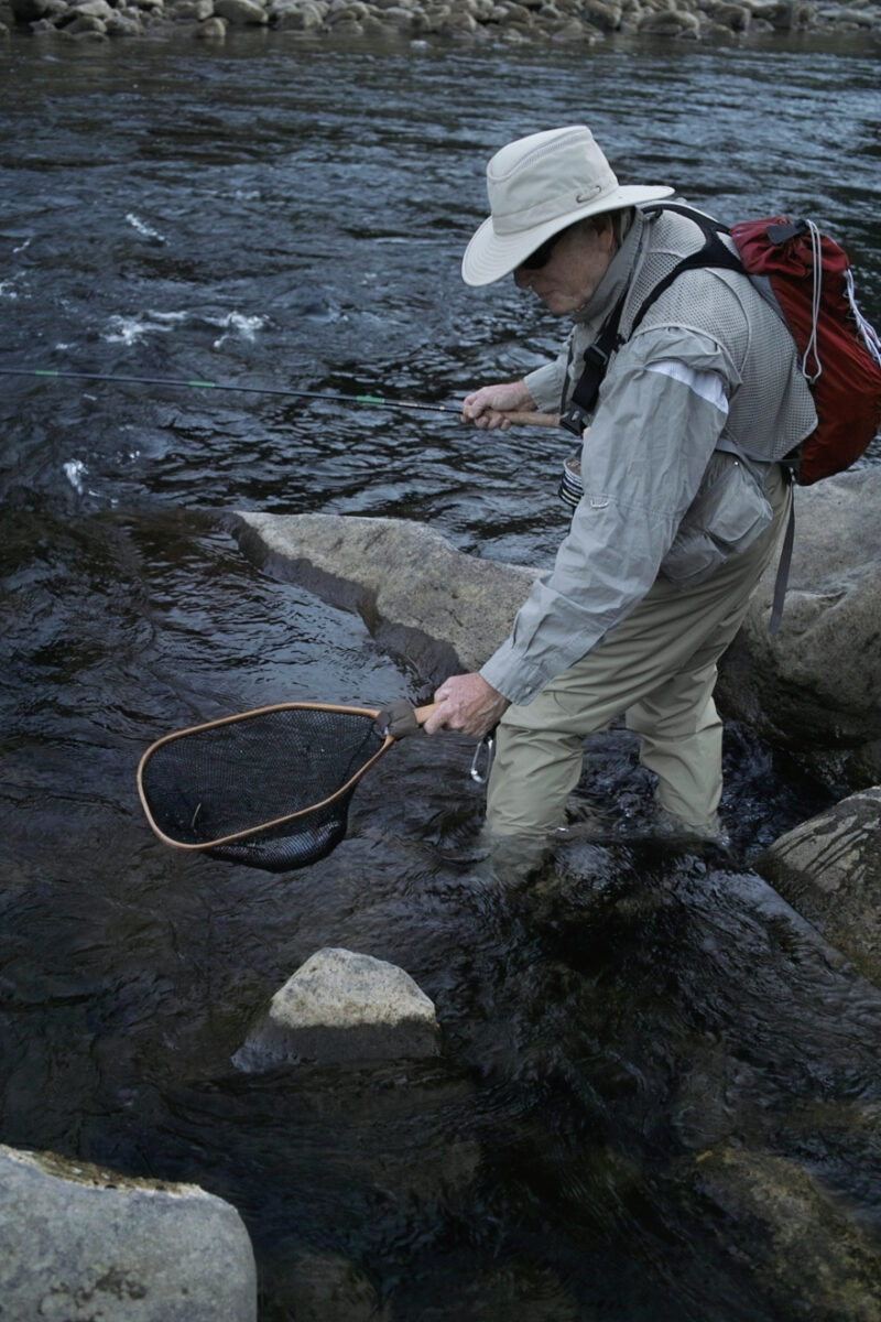 Photo Galleries of the Horseshoe Bar Preserve Horseshoe Bar Fish