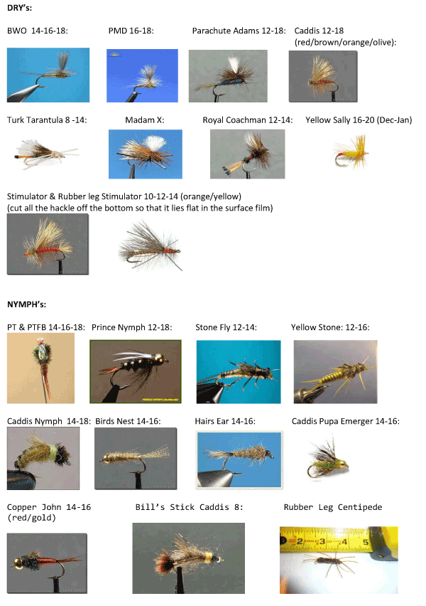 Successful Fly Fishing Flies on Horseshoe Bar Preserve - American River